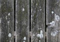 Wooden fence with cracks and moss