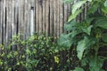 Wooden fence, decorative wood fence