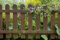 Wooden fence at a garden