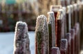 Wooden brown fence covered with morning white frost in the garden