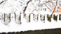 Wooden fence gate covered in white snow at heavy snowing snowstorm Royalty Free Stock Photo