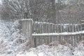 Wooden fence gate covered in white snow at heavy snowing snowstorm, storm, falling snowflakes, bushes in background. No edit Royalty Free Stock Photo