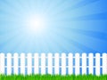 Wooden fence and grass