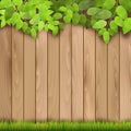 Wooden fence, grass and tree branch Royalty Free Stock Photo