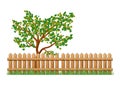 Wooden Fence with grass and tree isolated vector symbol icon design. Royalty Free Stock Photo