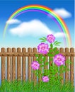 Wooden fence on green grass with flowers Royalty Free Stock Photo