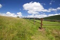 Wooden fence on green summer pastoral