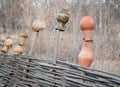 Wooden fence with a jug in the countryside