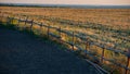 Wooden fence in the livestock feeding field, panoramic evening landscape