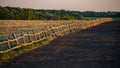 Wooden fence in the livestock feeding field, panoramic evening landscape