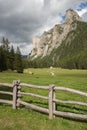 Wooden fence long a mountain pasture in Val Gardena Royalty Free Stock Photo
