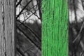 Wooden fence with one stripe colored to green Royalty Free Stock Photo