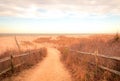 Sandy path leads to beach at Cape May meadows at sunrise on an early spring morning Royalty Free Stock Photo