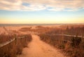 Sandy path leads to beach at Cape May meadows at sunrise on an early spring morning Royalty Free Stock Photo