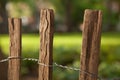 Wooden Fence