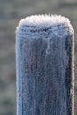 Wooden Fence Pole Covered With Ice Crystals, Back-lit By Morning Sun. Concepts Of Frosty Winter Season, Cold Temperature