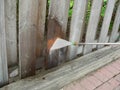 Wooden Fence Power Wash Royalty Free Stock Photo