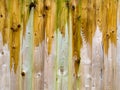 Wooden fence after rain. Abstract wood grain effect.