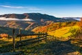 Wooden fence by the road in rural area Royalty Free Stock Photo