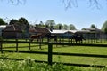 Horses on the catwalk spring Newmarket UK Royalty Free Stock Photo