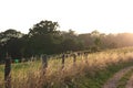 Wooden fence during sunset with tall grass Royalty Free Stock Photo