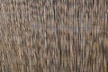 wooden fence the textures of the background of the reed fence is yellow brown bamboo Royalty Free Stock Photo