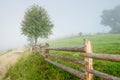 Wooden fence and tree in the fog, scenic landscape countryside Royalty Free Stock Photo