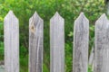 Wooden fence with triangular tops in the village in the afternoon under the sun with a green background