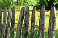 Wooden fence with tulip field in background