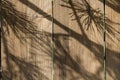 Shadows from the fir branches on the fence. Natural pattern. Natural art Royalty Free Stock Photo