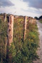 Wooden fences dividing horse paddocks