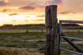 Wooden fences dividing horse paddocks