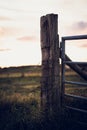 Wooden fences dividing horse paddocks