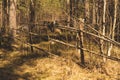 Wooden Fencing Between Trees. Natural View In Dense Forest