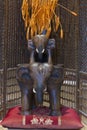 Wooden figures of indian elephants spa
