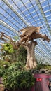 Wooden fire dragon structure surrounded by green plants