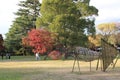 Wooden fish installation in Showa Memorial Park