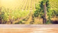 Wooden flat Tabletop against vineyard hill in late summer