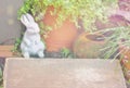 The wooden floor above has a background of a stone rabbit. Clay pots, orange trees Small water jar, small leafy wood In the small Royalty Free Stock Photo