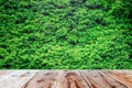 Wooden floor and green trees Royalty Free Stock Photo