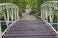 Wooden floor and iron fences of bridge in park Royalty Free Stock Photo