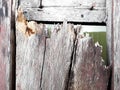 Wooden floor, The old wooden floor, the bridge from the old boards over the water, Old painted wood texture,Old wood on the hangin Royalty Free Stock Photo