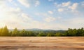 Wooden floor perspective brown wood and blurred nature mountain background. Royalty Free Stock Photo