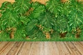 Wooden floor and vertical garden Royalty Free Stock Photo