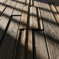 Play of light and shadow emphasizes the texture and natural aesthetic Royalty Free Stock Photo