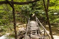 Wooden flooring of a dilapidated bridge over a mountain river on an ecological trail in a summer mountain forest Royalty Free Stock Photo