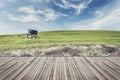 Wooden flooring and view of nature with vintage filter effect Royalty Free Stock Photo