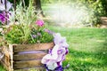 Wooden flower bed in the park with colorful spring flowers, background of a lawn and the sunlit trees