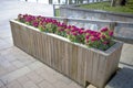 Wooden flower bed Royalty Free Stock Photo