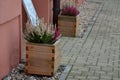 Wooden flower pots in front of the entrance with heather in the fall on the sidewalk. very nice growing utensils of several woods